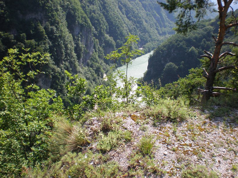 P6240143.JPG